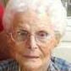 bradie davis Gallery