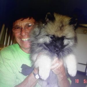 frances d'amico Gallery