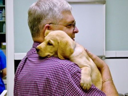 dr. ronald todd, jr., dvm