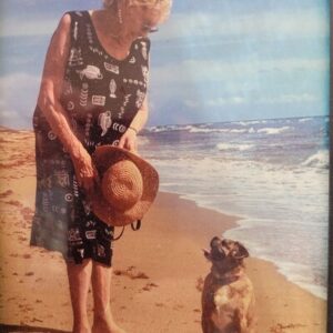 barbara seddon Gallery