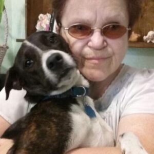 pamela maxwell Gallery