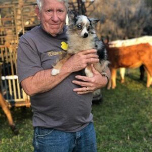 lawrence cleesen Gallery