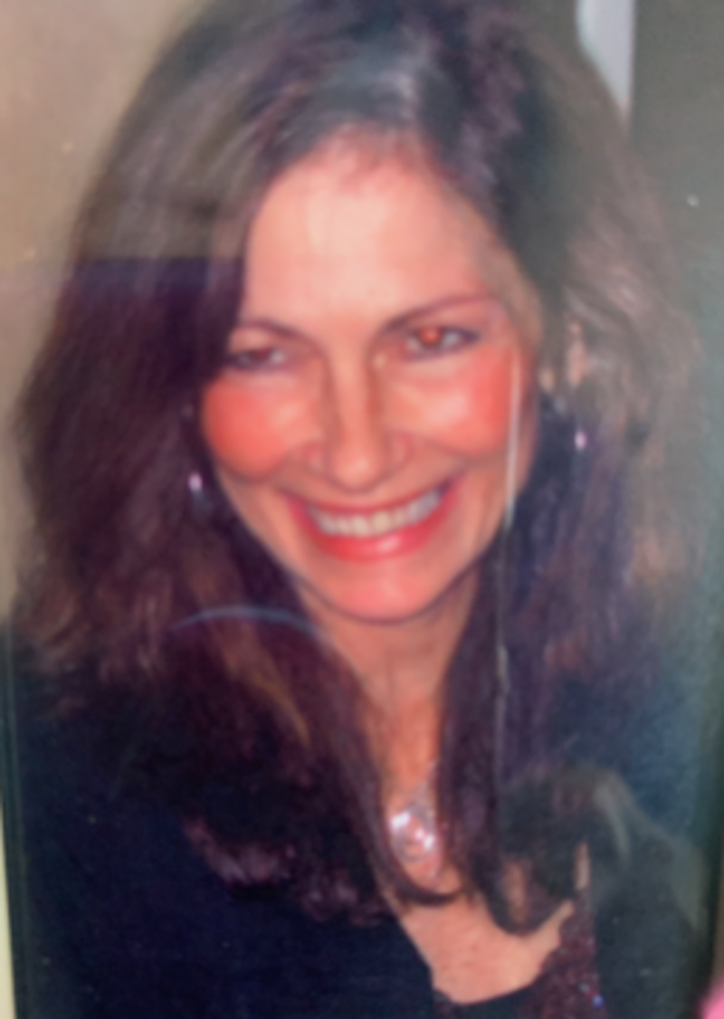 elizabeth ann perry wilde