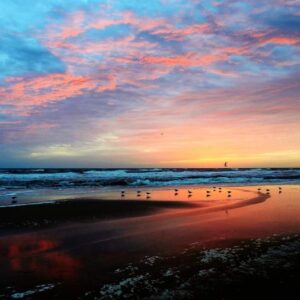 tennia ashley Gallery