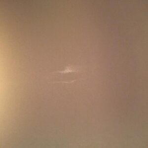 elizabeth nason Gallery