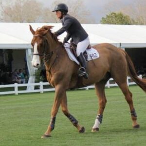 clint ivines Gallery