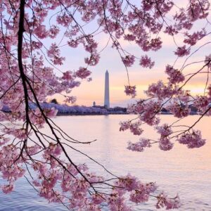 jarrod mulligan Gallery