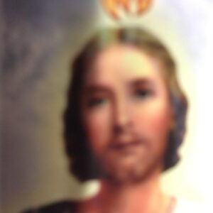 zulma romeu roman Gallery