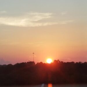 sammy simpson, jr. Gallery