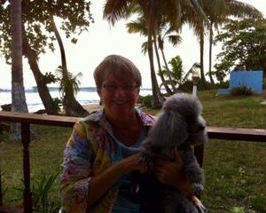 barbara sjostrom Gallery