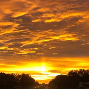 barbara breeze Gallery