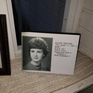 sandra taylor Gallery