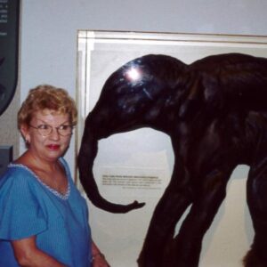judith campbell Gallery