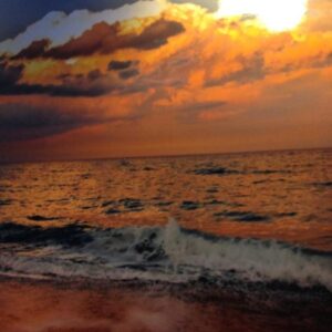 duncan westby Gallery