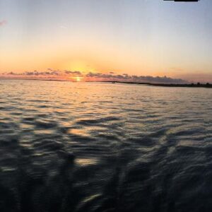 kenneth gotay Gallery