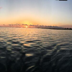 kenneth gotay Gallery