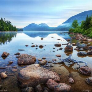 frances  cannon Gallery