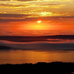 frances  cannon Gallery