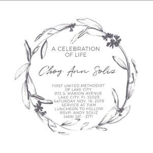 choy soliz Gallery