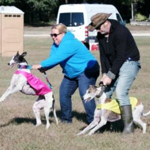 thomas christ Gallery