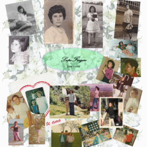 guadalupe fragoso farfan Gallery