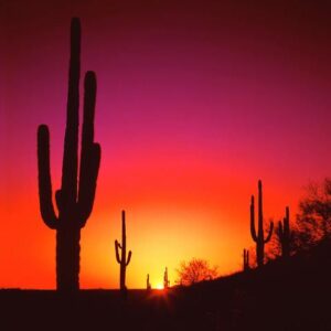 john stewart jr. Gallery