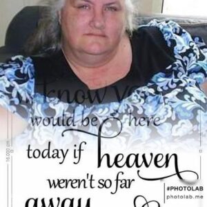 kelly peters Gallery