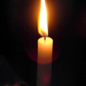 lisa boyette Gallery