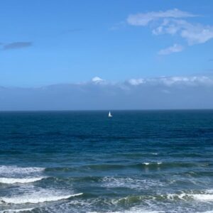 jacqueline zucali Gallery