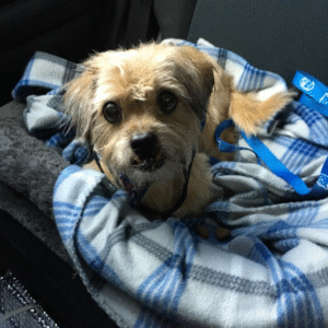 marguerite smith Gallery