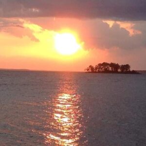 janet landes Gallery