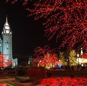 charles south Gallery