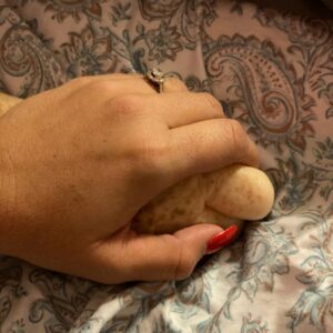 youlanda shanabrook Gallery