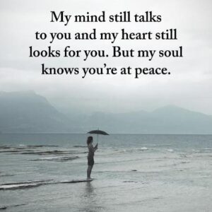 debra lumley Gallery