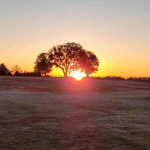 nancy makransky Gallery