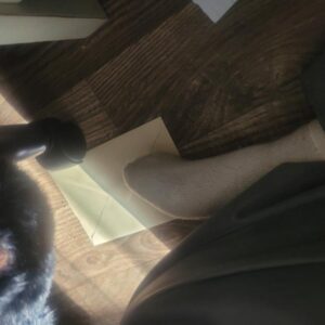 holly formont Gallery