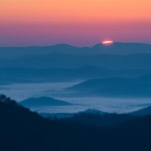 rebecca gray Gallery