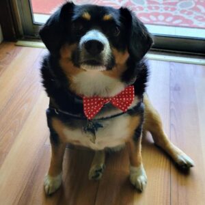 robin kantner-nordan Gallery