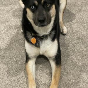 robin kantner-nordan Gallery