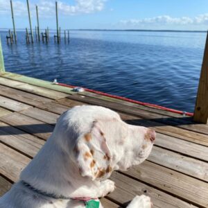 robin kantner-nordan Gallery