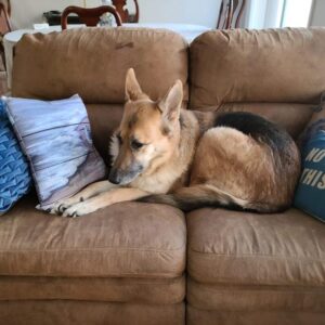 robin kantner-nordan Gallery