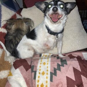 robin kantner-nordan Gallery