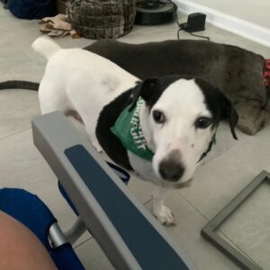 robin kantner-nordan Gallery