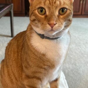 robin kantner-nordan Gallery