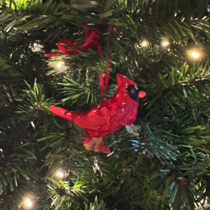 timothy michel Gallery