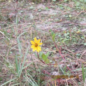 jeffrey goins Gallery