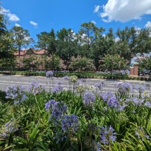 john churchill Gallery