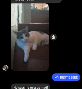 tyler loeffler Gallery