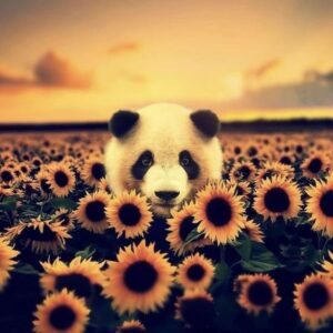 lisa godbolt Gallery