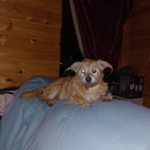 james sheppard Gallery